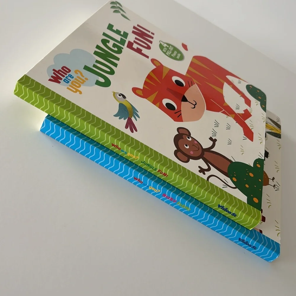 Vision St. Publishing this series